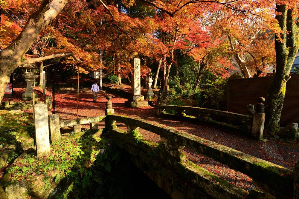 ขอบคุณรูปภาพจาก uncledoctorvacation