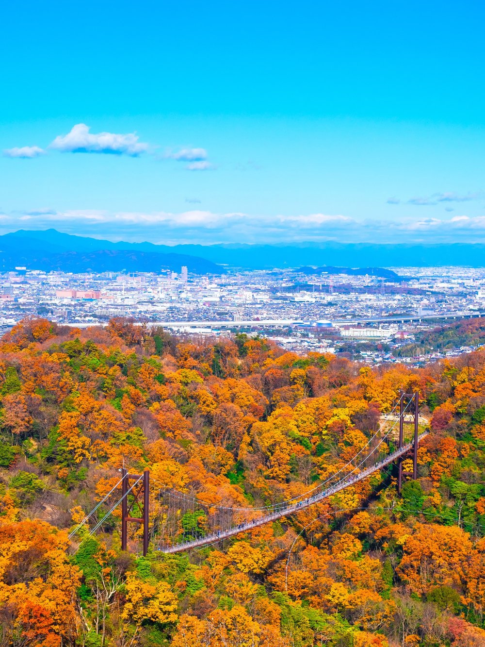 ขอบคุณรูปภาพจาก Visit Japan l ที่เที่ยวที่เหมาะแก่การชมใบไม้เปลี่ยนสีได้