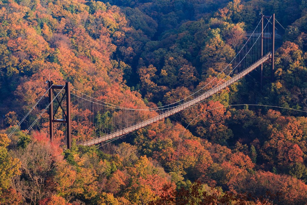 ขอบคุณรูปภาพจาก Visit Japan l ที่เที่ยวที่เหมาะแก่การชมใบไม้เปลี่ยนสีได้