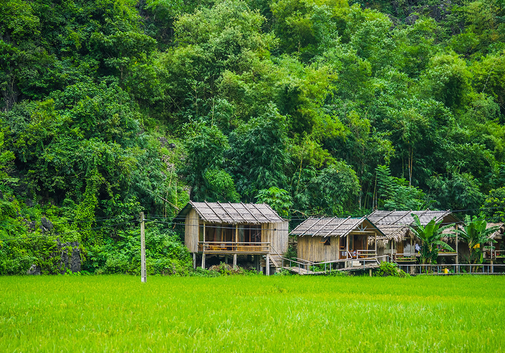 dia-diem-du-lich-tay-bac