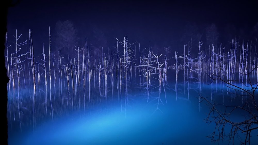 A blue pond at night
