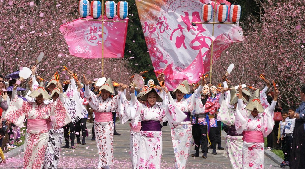 People performing on the streets for the cherry blossom festival