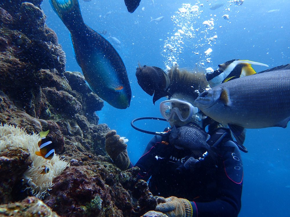 Diver swimming with fishes