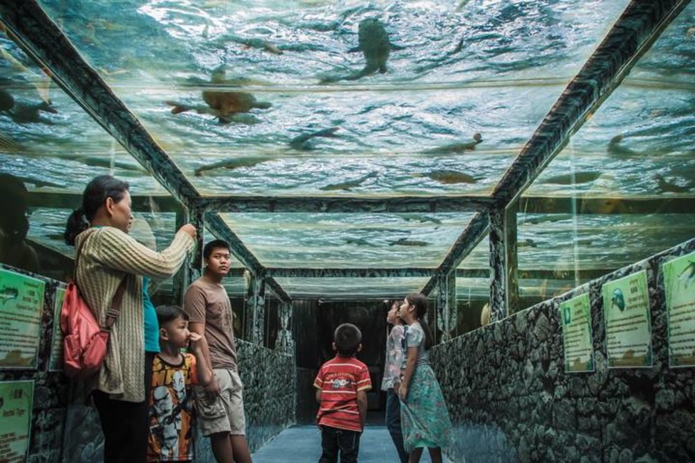 People looking at sea creatures inside an aquarium