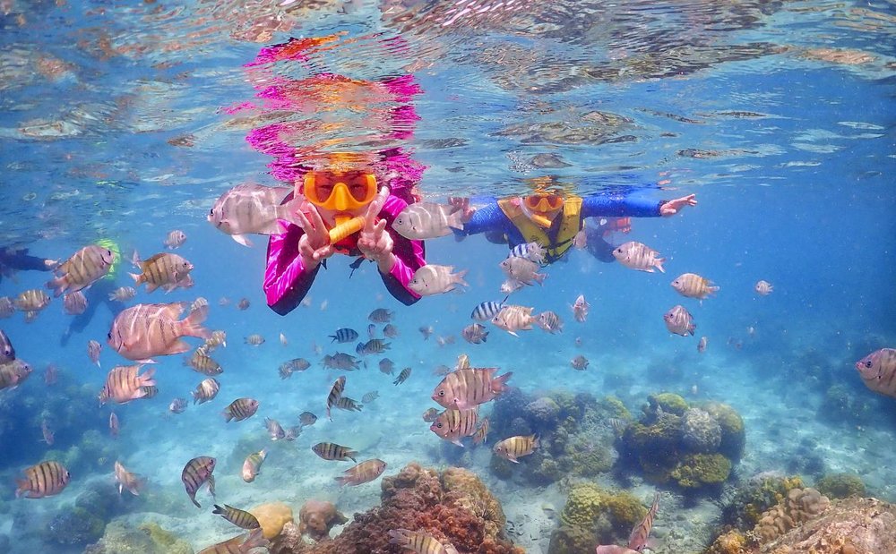 People snorkeling with fishes