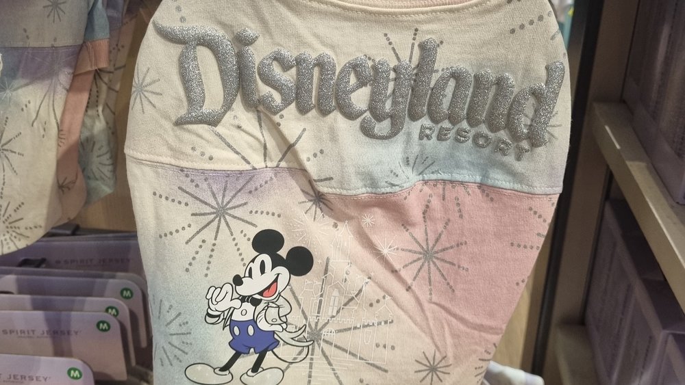 Your favourite pet can also wear their very own Disney100 Spirit Jersey—how cute!