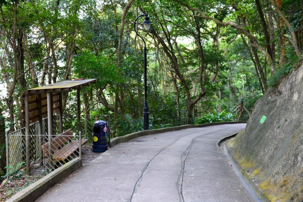 เที่ยวฮ่องกง เดินเส้นทางเดินศึกษาธรรมชาติ บนเดอะ พีค