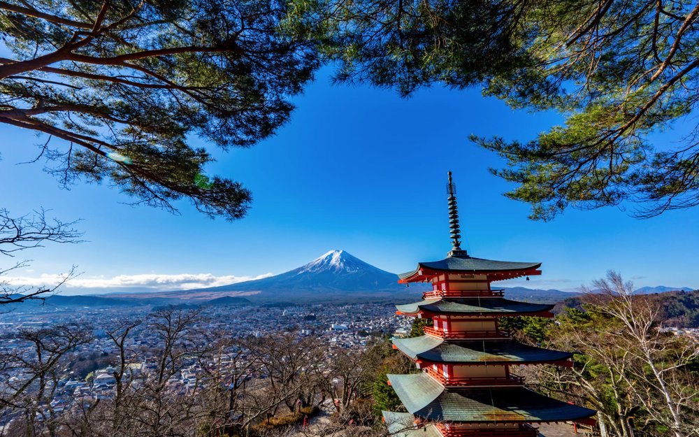 Mt. Fuji surrounded by cherry blossom tree
