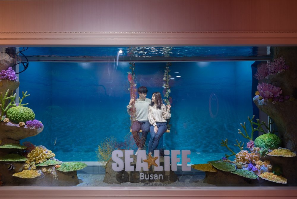A boy and a girl on a swing at Busan SEA LIFE