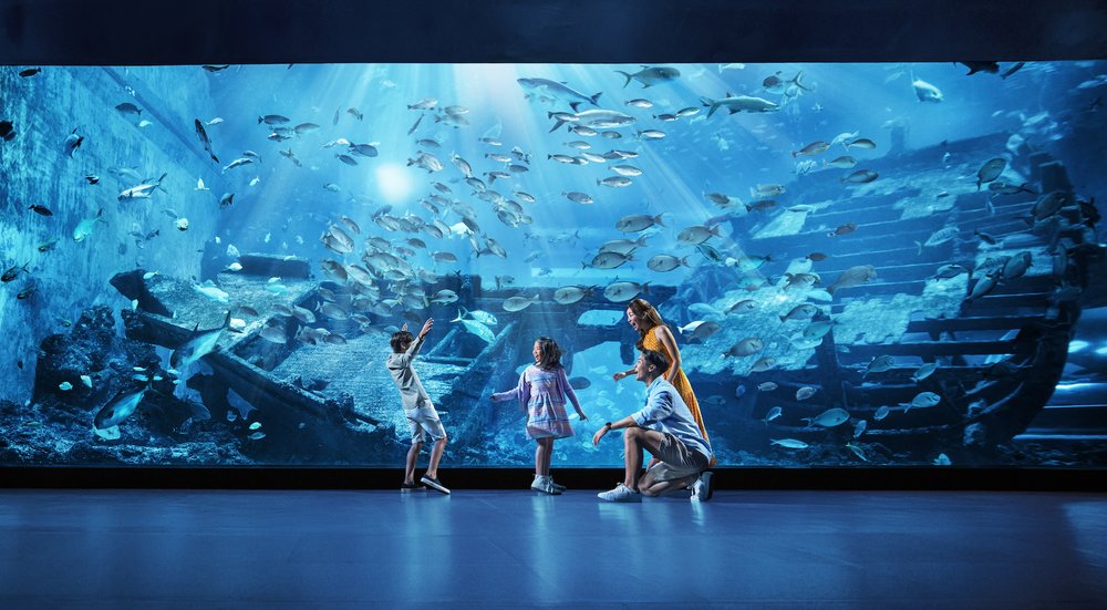 A family having fun watching sea creatures in a big aquarium