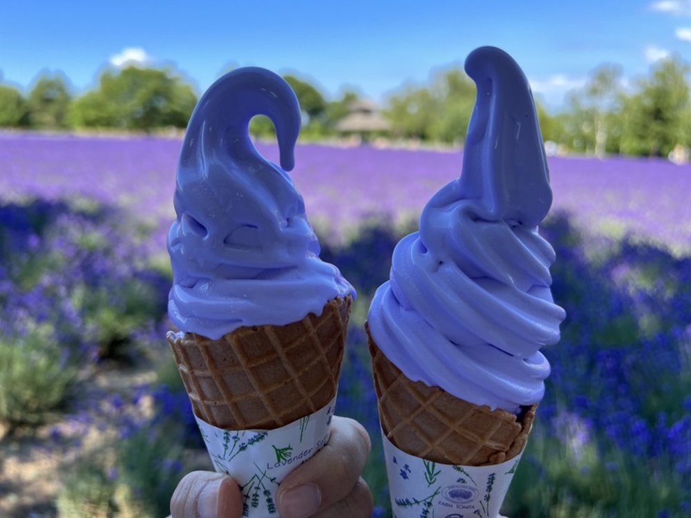 北海道薰衣草霜淇淋
