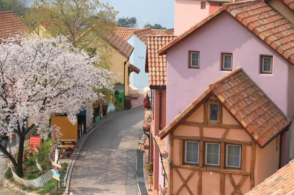 nami island cherry blossom tour