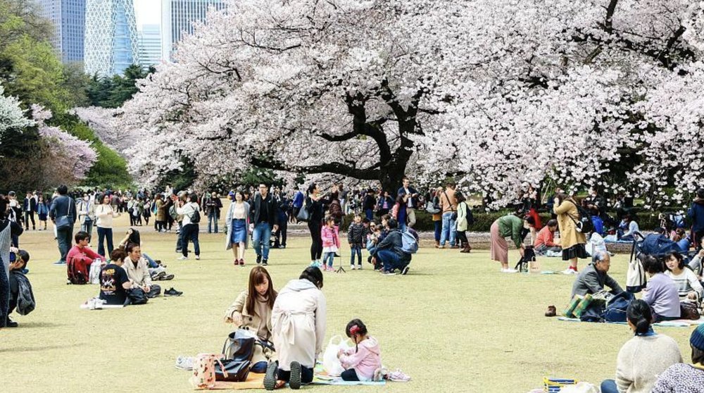Tourist in Shinjuku Gyoen National Garden