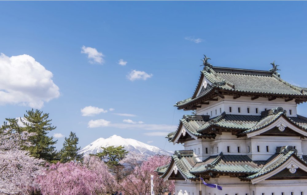 Castle surrounded by Cherry blossom tree