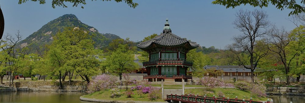 Palace surrounded by green nature and cherry blossoms