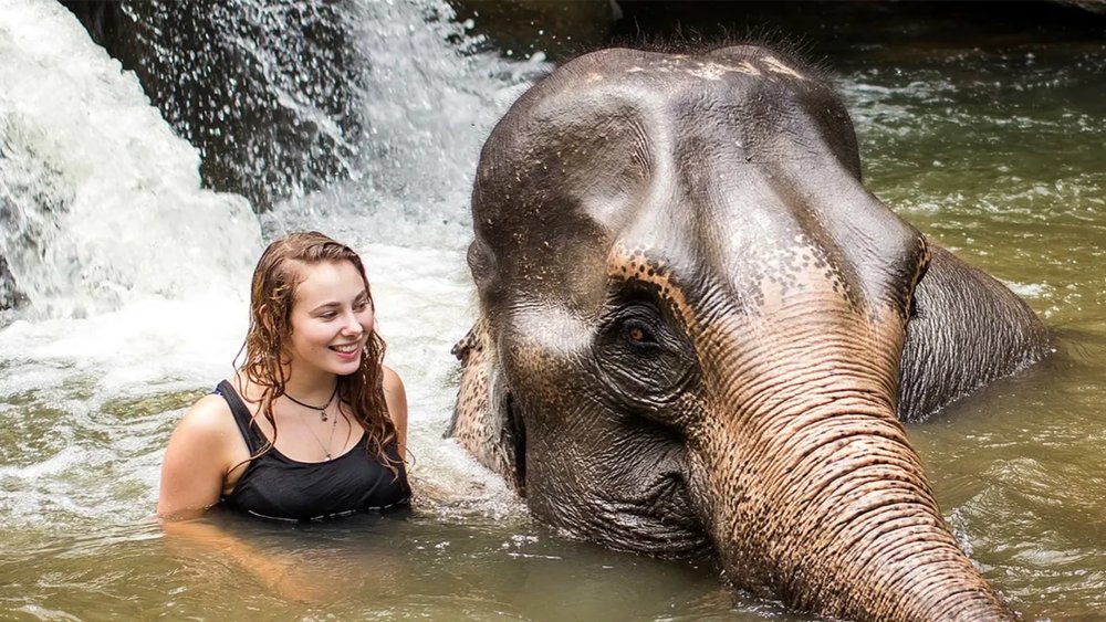 a woman bathing with an elephant in thailand
