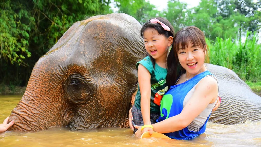 a mother and daughter bathing with elephants in thailand