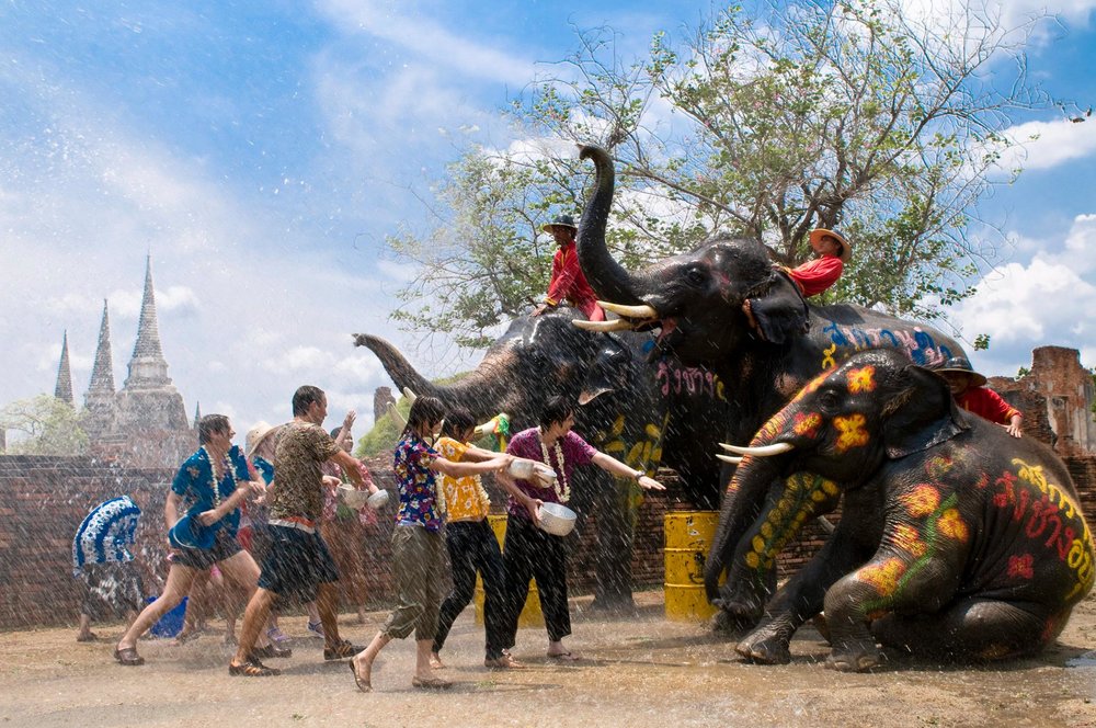 Elephants splashing tourist with water