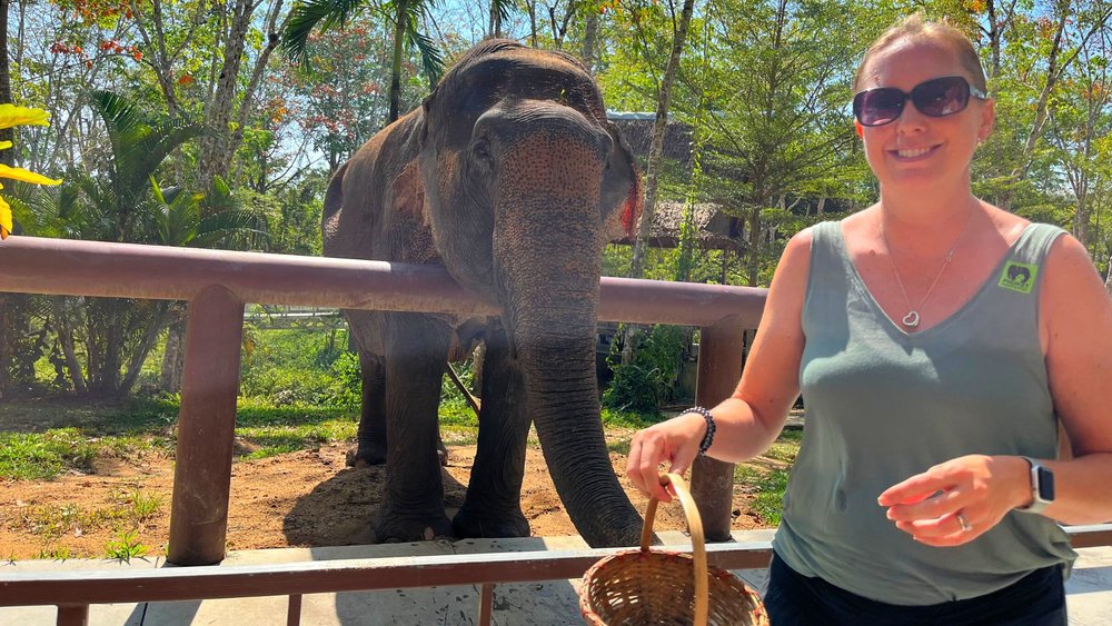 phuket elephant sanctuary klook 