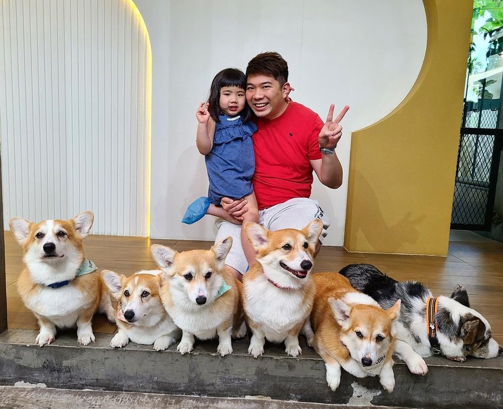 Corgi in the Garden family friendly pet cafe in Bangkok 