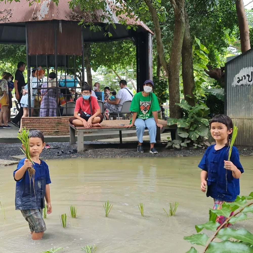 Baan 1000 Mai Café & Farm in Bangkok best family friendly activity