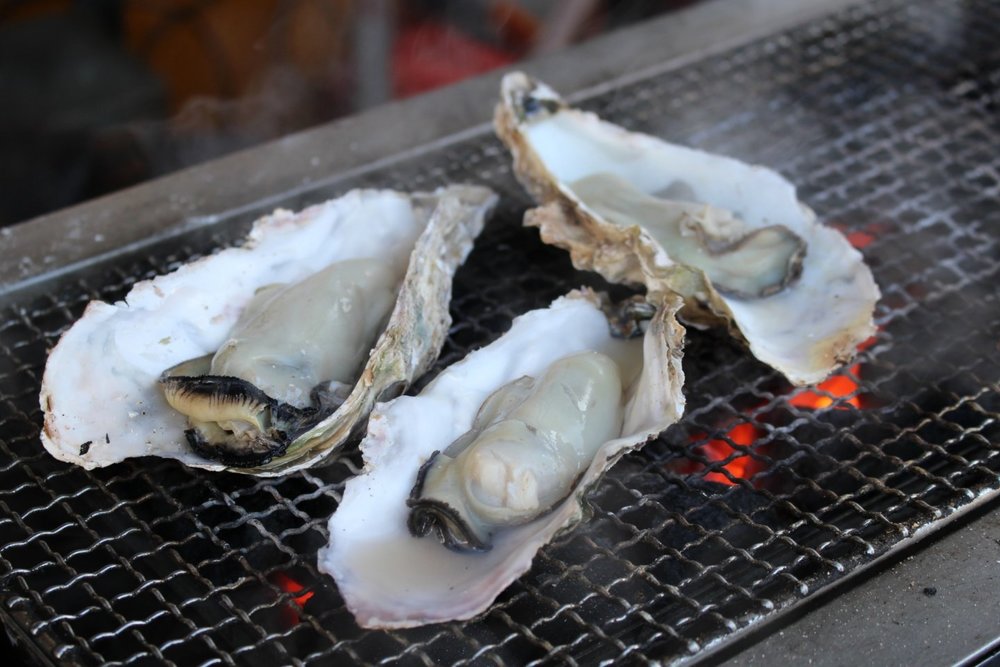 หอยนางรมสดๆ ที่เกาะมิทาจิมะ ในฮิโรชิม่า แหล่งท่องเที่ยวที่อุดมสมบูรณ์ของประเทศญี่ปุ่น | รูปภาพจาก japantravel.com