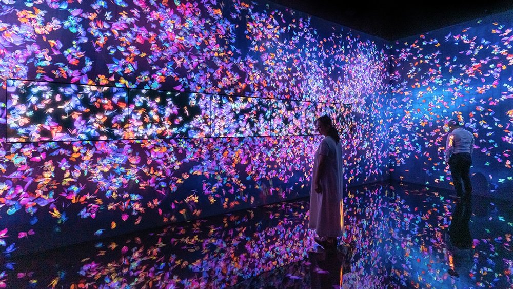 teamLab Forest เป็นแหล่งท่องเที่ยวที่คุณจะได้สัมผัสงานศิลปะ ที่มี 2 โซนด้วยกัน