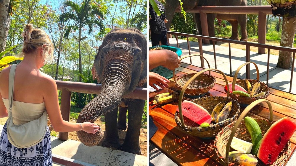 phuket elephant sanctuary klook