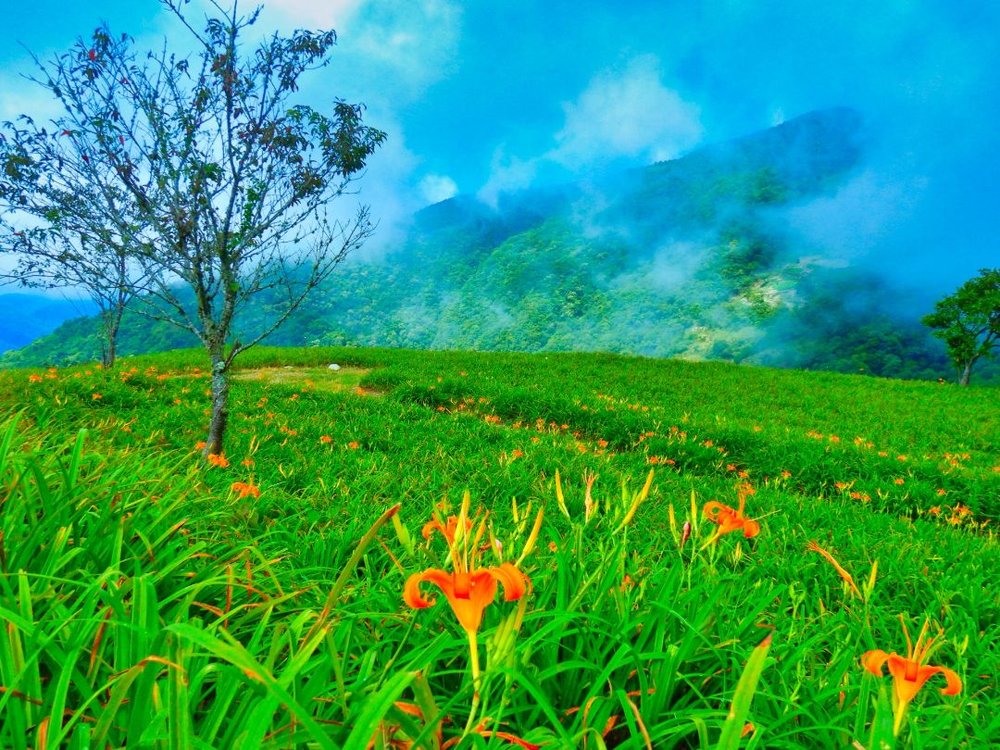 台湾 望幽谷（忘憂谷）
