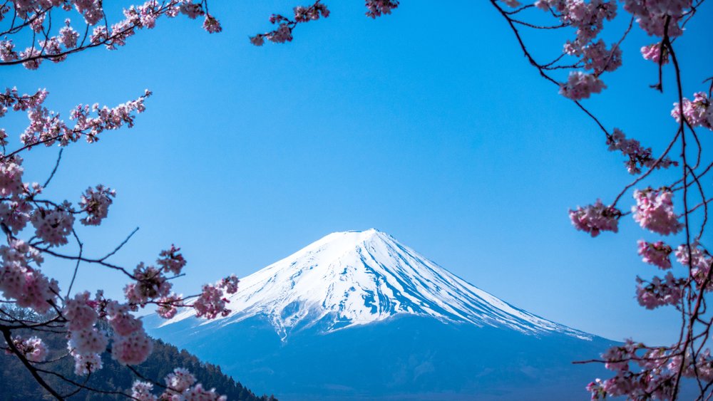 peak of mount fuji framed by flowers