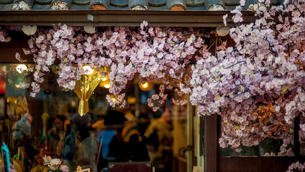 flowers hanging over entrance to shop
