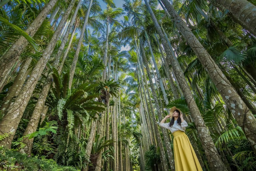 沖繩東南植物園