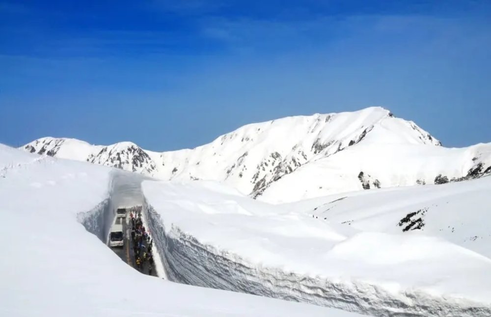 立山黑部開山 自由行攻略
