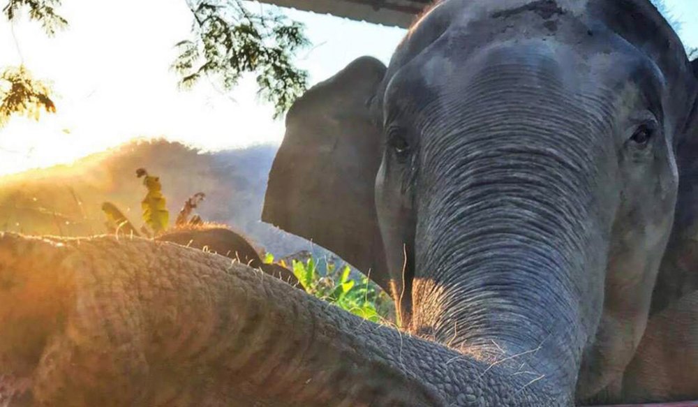 dia-diem-du-lich-chiang-mai