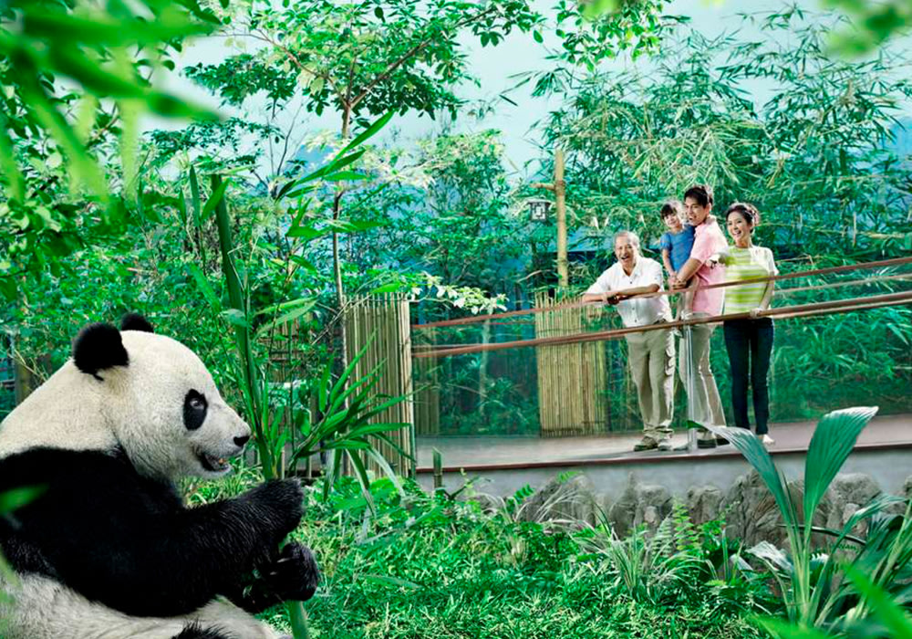Singapore River Safari