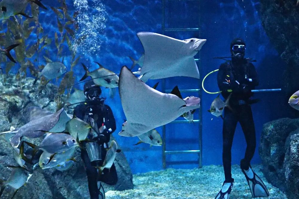 cong-vien-khu-du-lich-bangkok