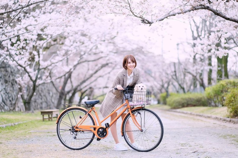 【福岡自由行2023】12 大必去景點！交通行程攻略｜博多天神／太宰府／小倉