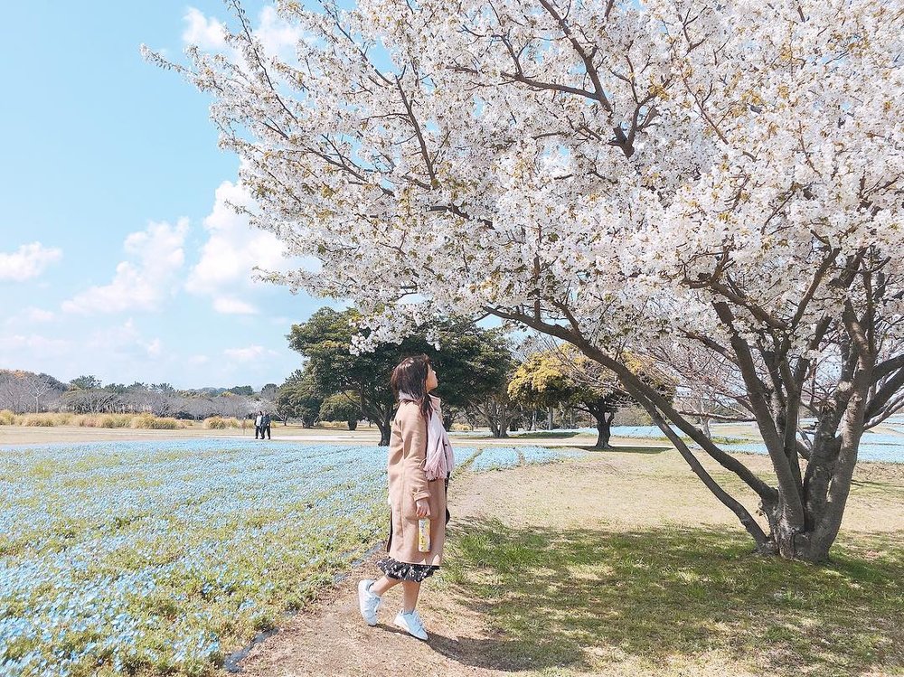 【福岡自由行2023】12 大必去景點！交通行程攻略｜博多天神／太宰府／小倉 海之中道海濱公園