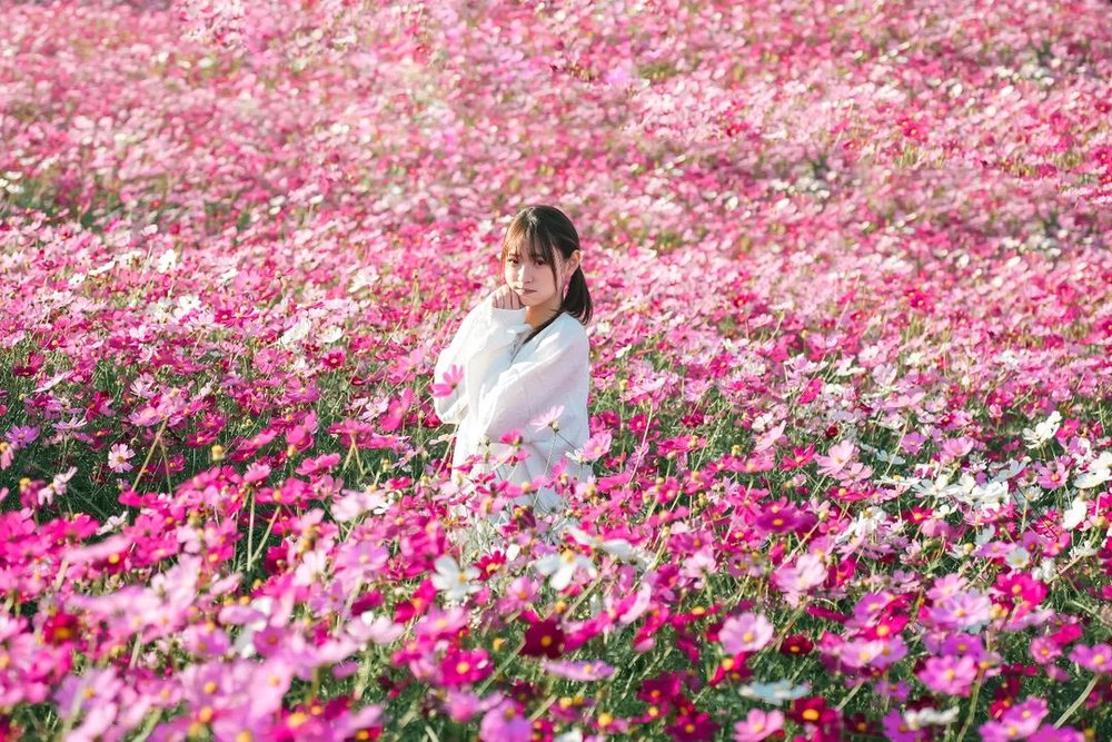 【福岡自由行2023】12 大必去景點！交通行程攻略｜博多天神／太宰府／小倉