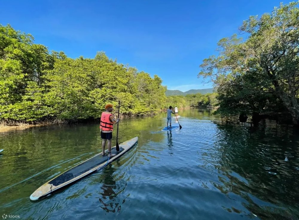 พายเรือยืนชมวิวพาโนราม่า
