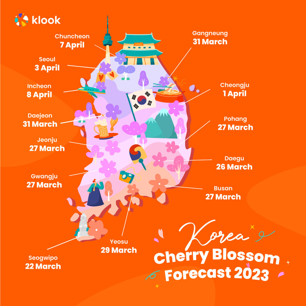 Korea Cherry Blossom Forecast 2023 15 Cherry Blossom Viewing Spots In