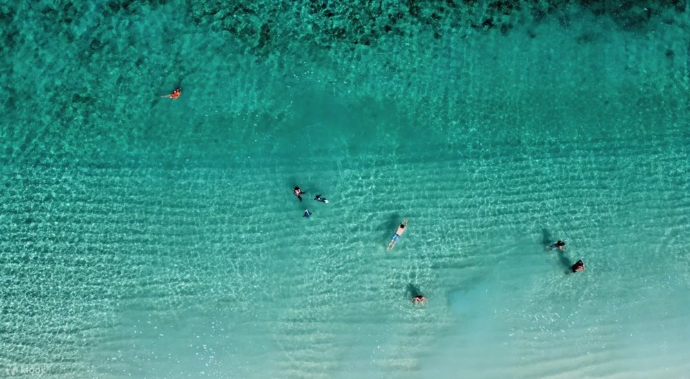 น้ำทะเลใสจนเห็นพื้นด้านล่าง