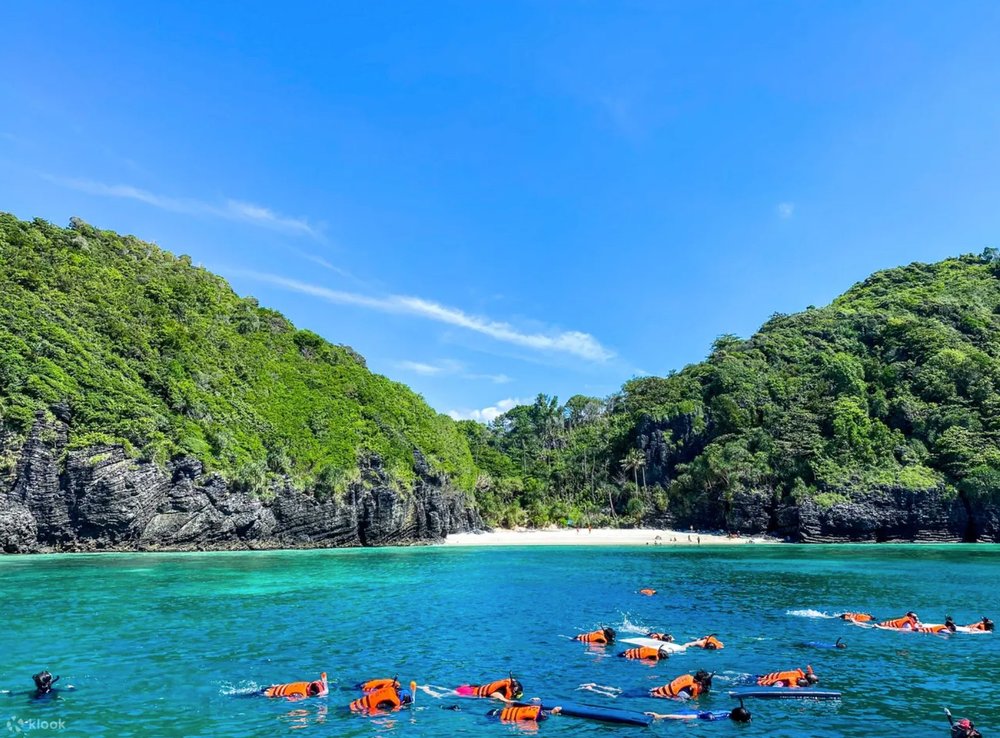 ดำน้ำตื้นทักทายเหล่าสัตว์น้ำ