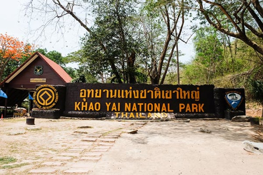 ขอบคุณรูปภาพจาก BlueBoeing / Shutterstock.com 