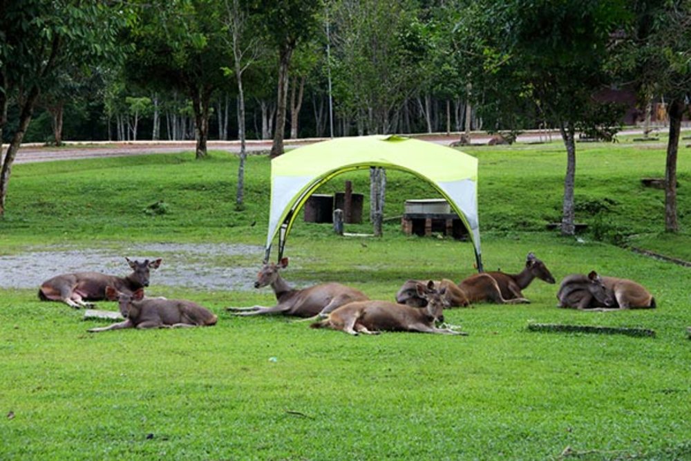 ขอบคุณรูปภาพจาก Travel.kappok 