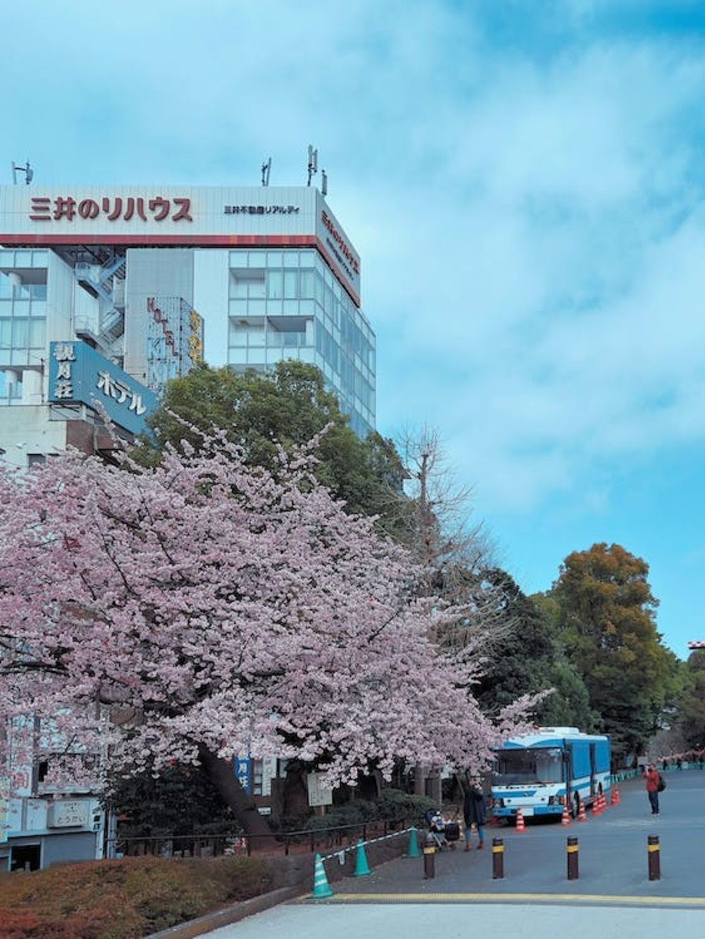 รูปภาพโดย DLKR : https://www.pexels.com/photo/blooming-cherry-blossom-tree-beside-a-building-12134655/