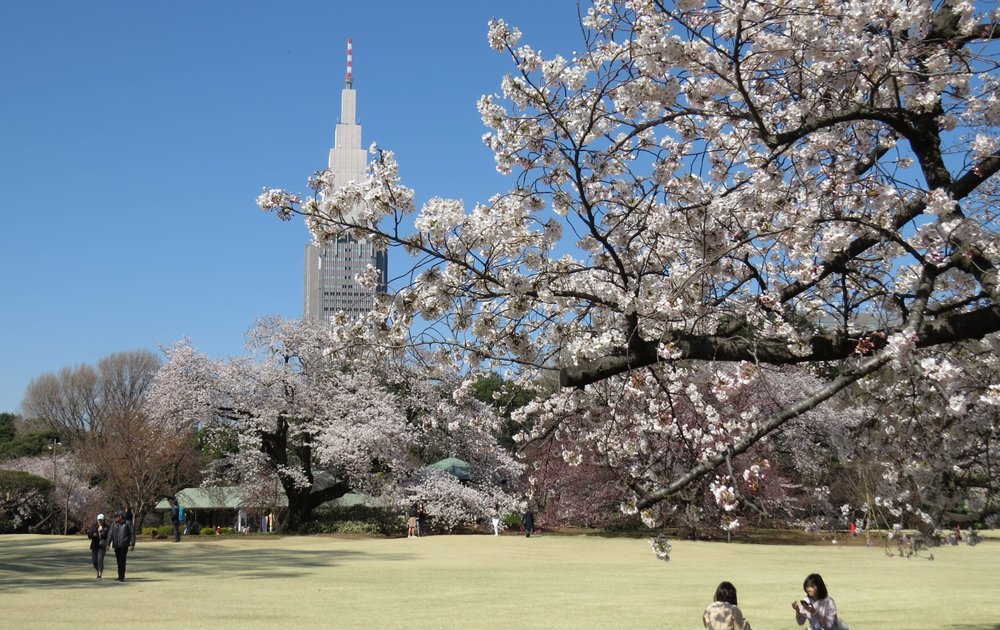ขอบคุณรูปจาก: https://www.japan.travel/en/spot/1660/