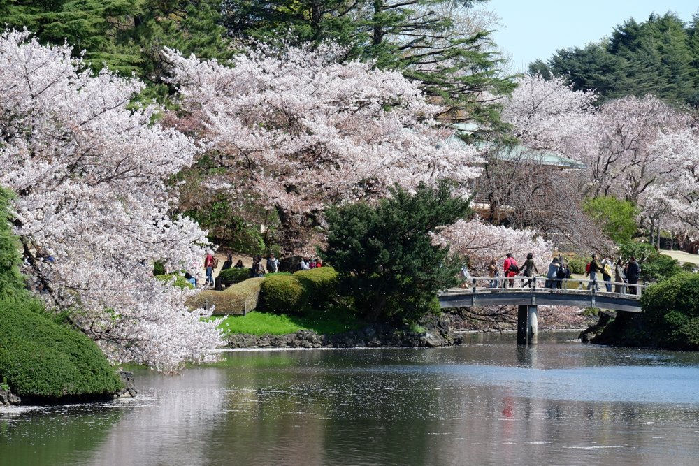 สวยชินจูกุที่ได้รับความนิยมไม่แพ้ที่อื่น ๆ