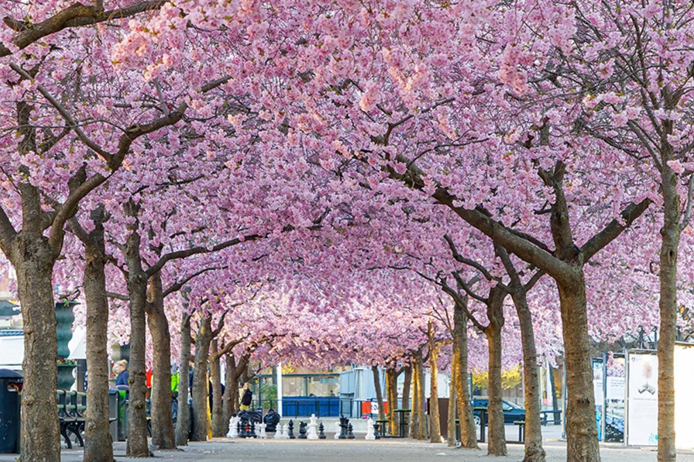เดินทางไปได้ไม่ยาก - ขอบคุณภาพจาก : Vacationist