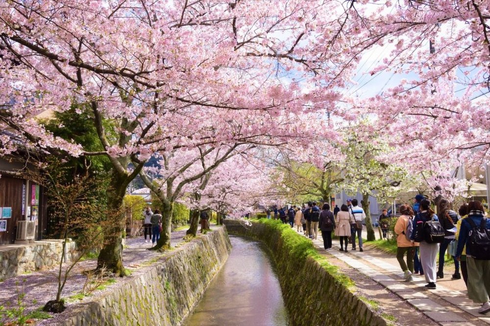 ถนนสายนักปราชญ์ / ขอบคุณภาพจาก : https://jw-webmagazine.com